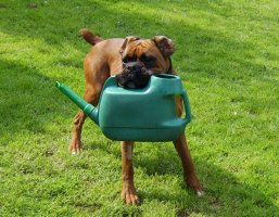 Buster with Watering Can